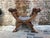 18th Century Italian Carved Walnut Stool For Sale - Image 10 of 11