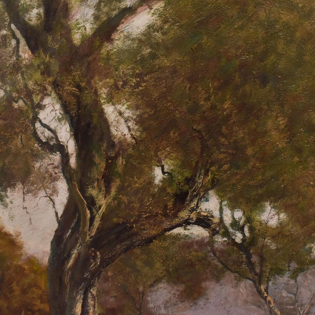 Emilio Filippini, Seascape and Olive Trees, 20th Century, Oil on Canvas For Sale - Image 7 of 11