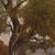 Emilio Filippini, Seascape and Olive Trees, 20th Century, Oil on Canvas For Sale - Image 7 of 11