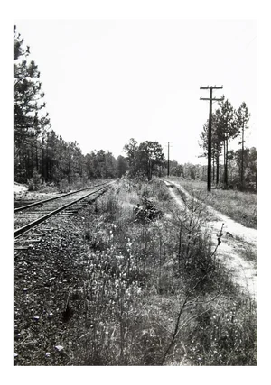 1980s Convergent Roads Photograph