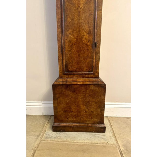 Brown Burr Walnut Longcase Clock by Henry Massy, 1710 For Sale - Image 8 of 9