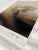 Contemporary Ugne Pouwell, Laurisilva of Madeira, 2026, Black and White Nature Photography For Sale - Image 3 of 5