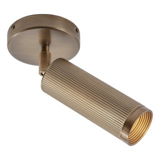 J Adams & Co Spot Ceiling Light For Sale