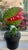 Classic Movie Memorabilia Animated Audrey Plant For Sale In San Diego - Image 6 of 15