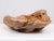 Large Teak Fruit Bowl, Australia, 1970s For Sale - Image 10 of 10