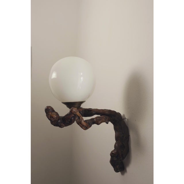 Vintage Organic Brutalist Vine Root Wall Lamp with Globe, 1960s For Sale - Image 11 of 18