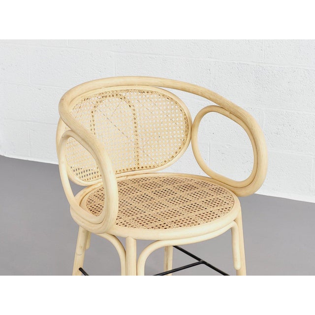 Rattan and Cane Armchairs, Set of 2 For Sale - Image 10 of 18