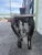 Black Vintage Maitland Smith Wrought Iron Console W Composite Stone Top For Sale - Image 8 of 13