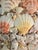 Ceramic Contemporary Coastal Grotto Palm Beach Shell Encrusted Planter For Sale - Image 7 of 9