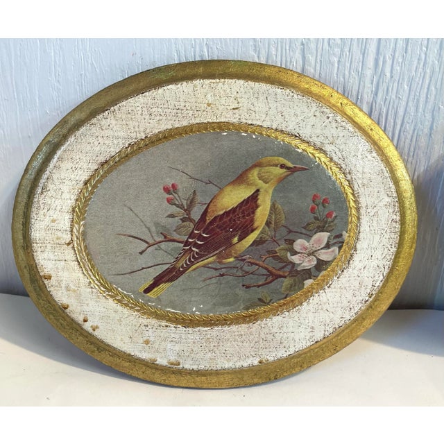 Beautiful pair of Italian bird print on decopaged gilt wood.
