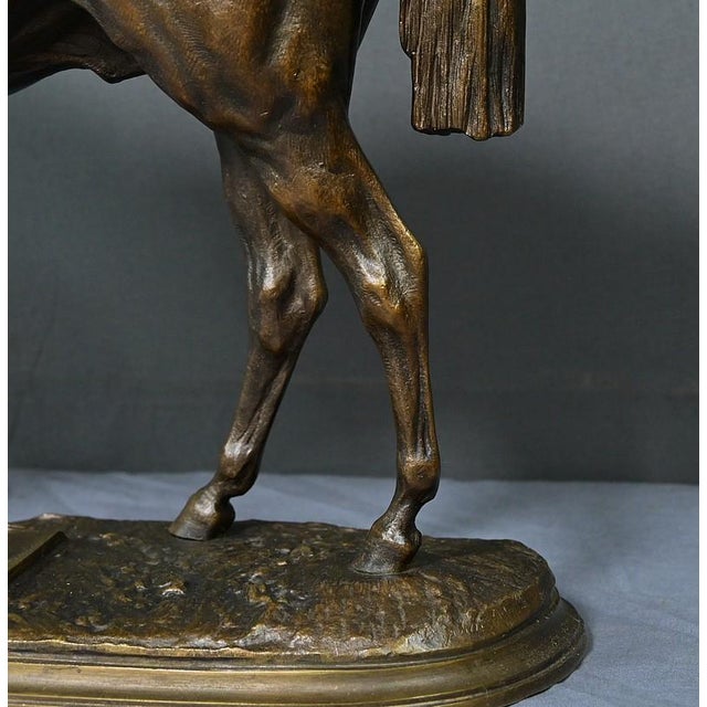 Brown P. Lenordez, Horse Saucebox, Late 19th Century, Bronze For Sale - Image 8 of 17