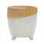 Add a modern earthy touch to your home with this Dual Tone Terra Cotta Planter. Featuring a stylish color block design in...