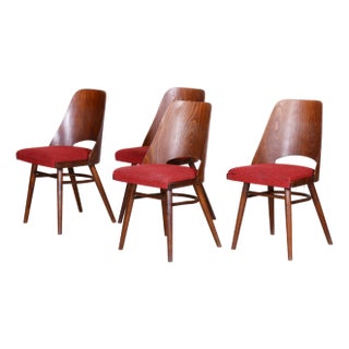 Mid-Century Beech Dining Chairs attributed to Oswald Haerdtl, 1950s, Set of 4 For Sale