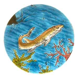 19Th C. Rare Schutz Cilli Majolica Plate Marine Life
