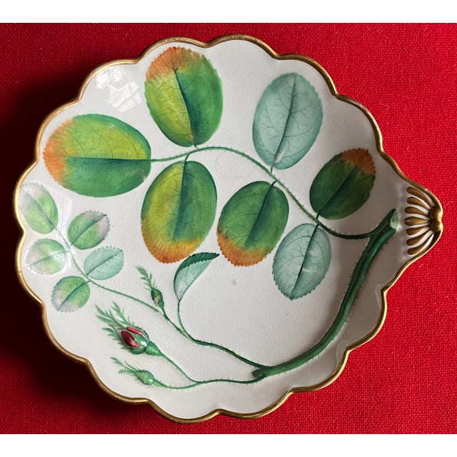 Antique 19th Century English Worcester Porcelain Blind Earl Serving Dish For Sale - Image 11 of 12