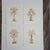 Light Green Palm Trees Modern Botanicals Paintings on Paper by Cynthia Geyer For Sale - Image 8 of 8