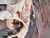 Patric Coogan Still Life Bird Gouache Ion Board For Sale In San Francisco - Image 6 of 7