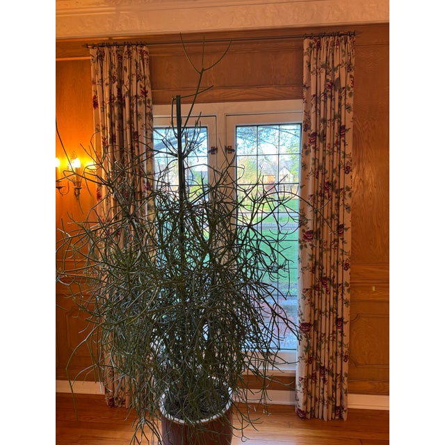 Traditional Curtains, Calico Corners For Sale - Image 9 of 9