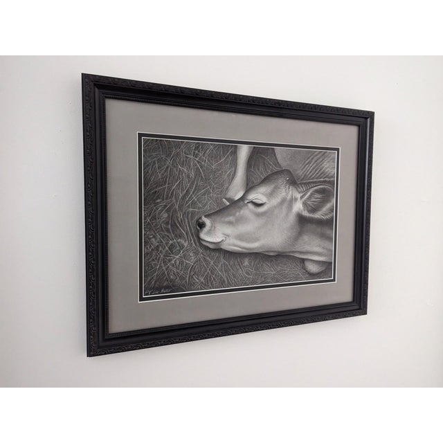This graphite drawing captures a serene moment of a resting calf, its gentle features softened by the interplay of light...