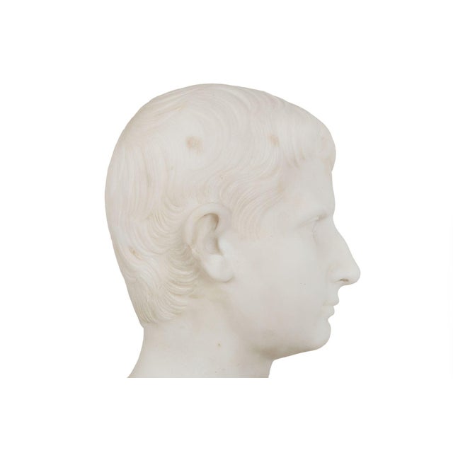 Grand Tour Antique Italian Carved Marble Bust of Young Caesar Augustus For Sale - Image 14 of 16