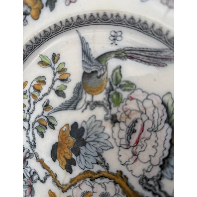 Antique, Early. 20th Century Ashworth Bros Hanley England Ironstone Chinoiserie Bird and Flower Plate For Sale In New York - Image 6 of 12
