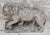 Antique Stone Medici Lion, 1920 For Sale - Image 3 of 9