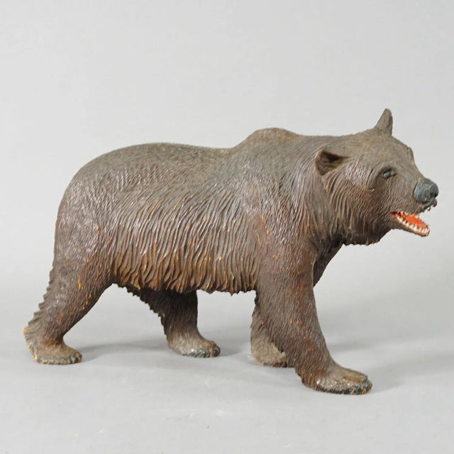 Large Wooden Strolling Bear Handcarved in Brienz ca. 1930 A large antique statue of a walking bear. Made of lindenwood,...
