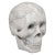 20th Century Marble Carved Decorative Skull Ornament For Sale - Image 13 of 13