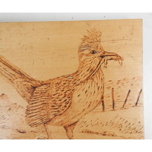 Vintage mid 20th century pyrograph (wood burning) of roadrunner with lizard for lunch. Signed on verso Billee Asmussen....