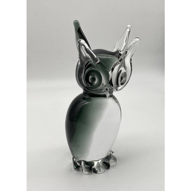 Murano Glass Owl Figurine by Vincenzo Nason, Italy, 1970s For Sale - Image 8 of 8