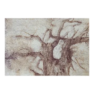 Vintage Cyanotype Old Oak Tree Photograph