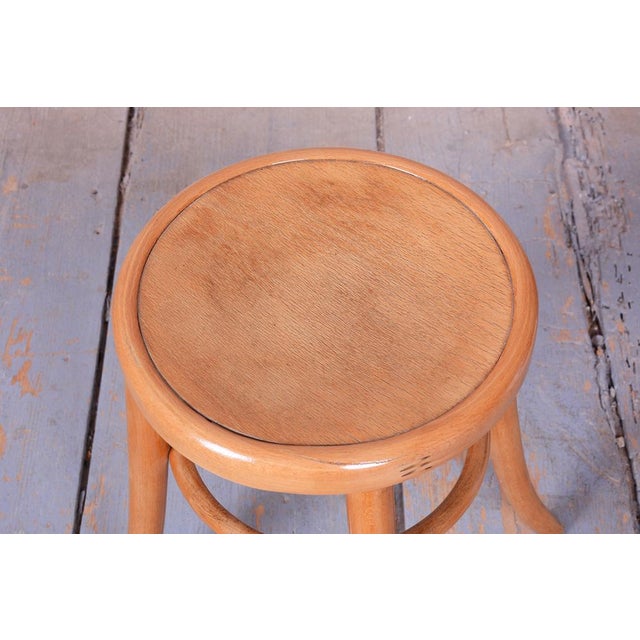 Mid-Century Stool in Sold Beech and Plywood, Czech, 1950s For Sale - Image 6 of 8