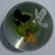 Glass Crystal Glass Paperweight For Sale - Image 7 of 8