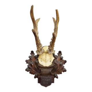 Black Forest Vintage Roe Deer Trophy on Carved Plaque, Germany 1942 For Sale