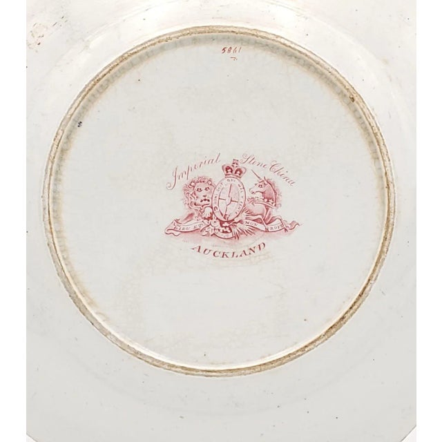 English Set of Nine "Auckland" Pattern Ironstone Dinner Plates, England Circa 1835 For Sale - Image 3 of 5