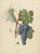 Late 19th Century Morrastel Grape Variety, 1890, Paper For Sale - Image 5 of 5