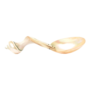 Vintage Coastal Mother of Pearl Organic Modern Twisted Serving Spoon 1980's