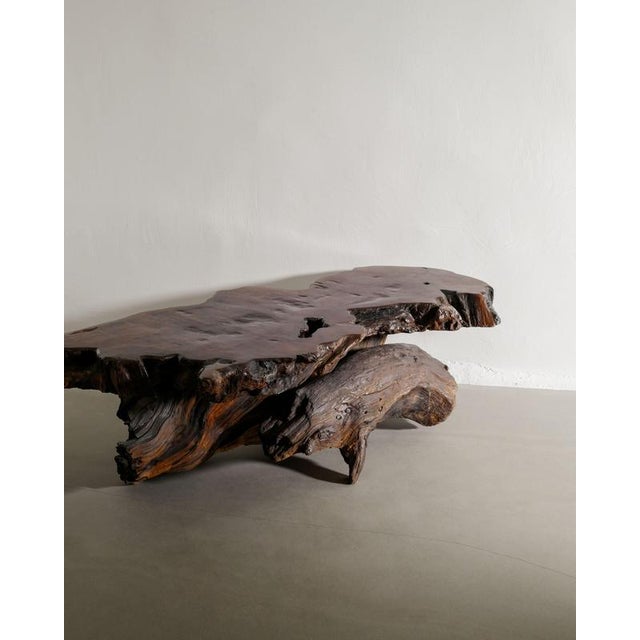 A large rare french brutalist mid century sculptural root coffee table in solid dark stained wood produced in france,...