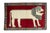 Hand-Knotted Gabbeh Nomad Rug with Lion Motif For Sale - Image 11 of 11