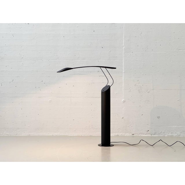 Dove Floor Lamp by Mario Barbaglia & Marco Colombo for Von Pal, Italy, 1980s For Sale - Image 4 of 17