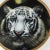 Vintage 1993 Porcelain Plate of White Tiger Signed Lenox For Sale In Portland, ME - Image 6 of 10