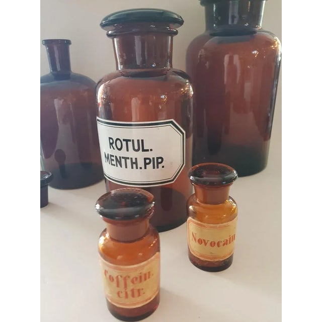Mid-Century Modern Vintage Convolut Pharmacist Bottles, Set of 5 For Sale - Image 3 of 5