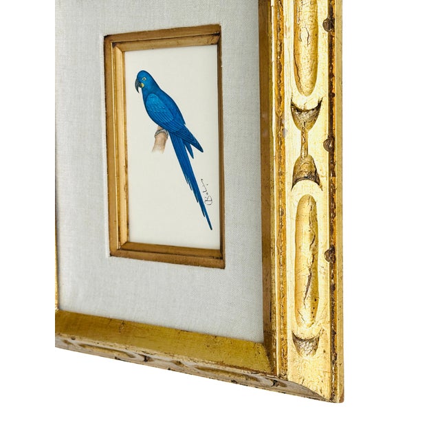 Realism Original Hand-Painted Blue Parrot Bird Painting in a Vintage Frame For Sale - Image 3 of 3