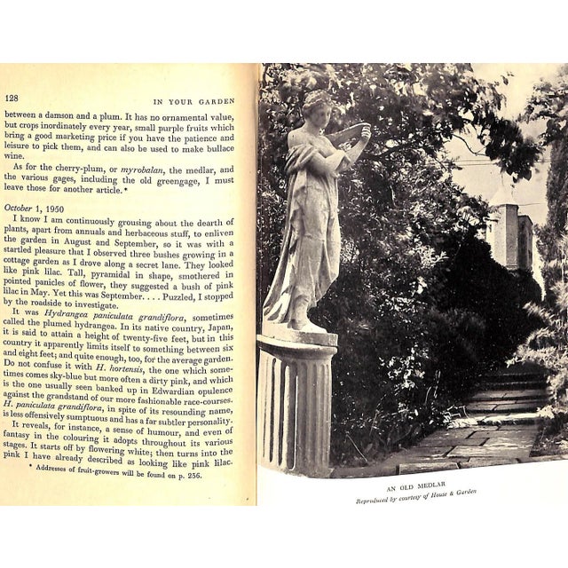 Paper "In Your Garden" 1952 Sackville-West, Vita For Sale - Image 7 of 11