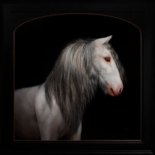 Spectre by Che Leviathan | Oil Painting of a white horse with long mane against a dark background For Sale