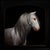 Spectre by Che Leviathan | Oil Painting of a white horse with long mane against a dark background For Sale