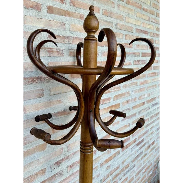 Antique Coat Rack, 1890s For Sale - Image 6 of 12