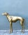 Mid-Century Modern Vintage Monumental Brass Greyhound For Sale - Image 3 of 17