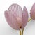 Tulips Murano Glass and Brass Sconces, 2000, Set of 2 For Sale - Image 6 of 10