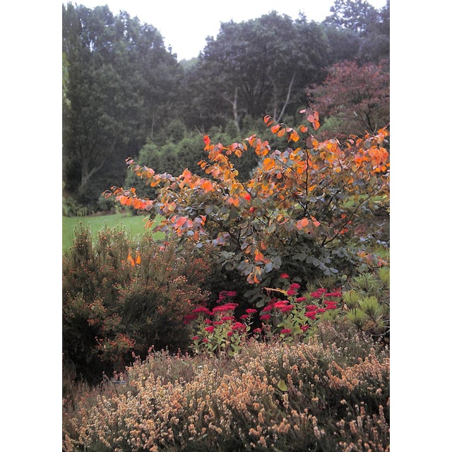 1990s "French Garden Style" Book 1990 Leveque, Georges, Valery, Marie-Francoise For Sale - Image 5 of 10